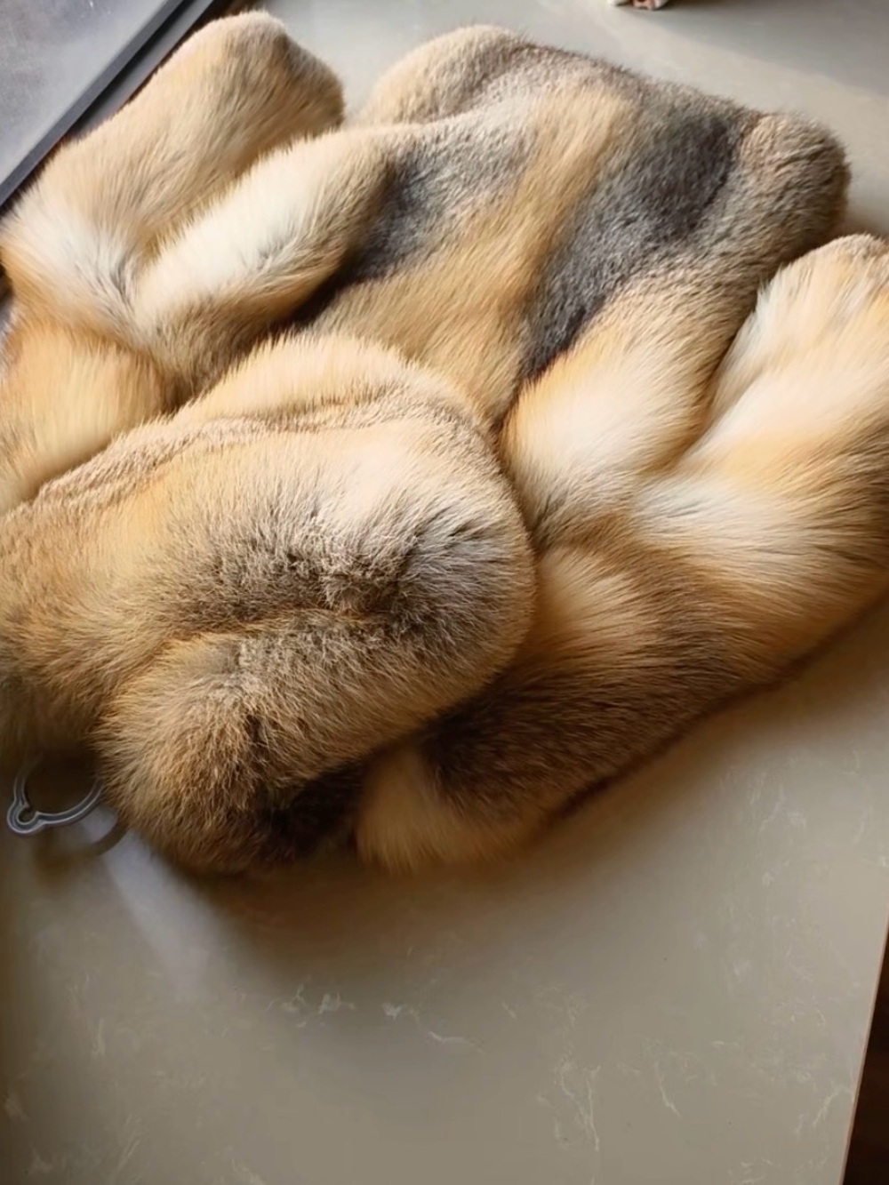 Luxurious hooded Golden island Fox Jacket - Picture 5 of 6